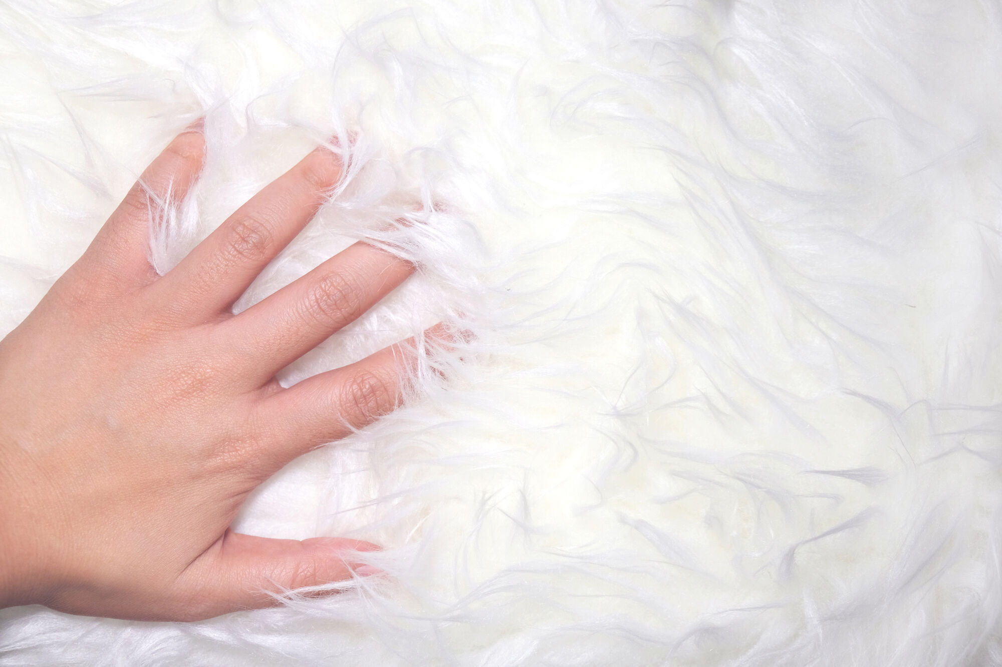 Introductie SoftTouch